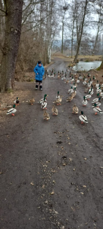 Procházka v Ostrově